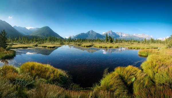Séjour en éco-lodge : top des destinations pour des vacances écologiques
